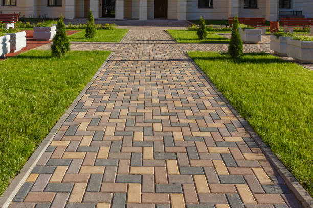 Best Asphalt Driveway Paving in USA